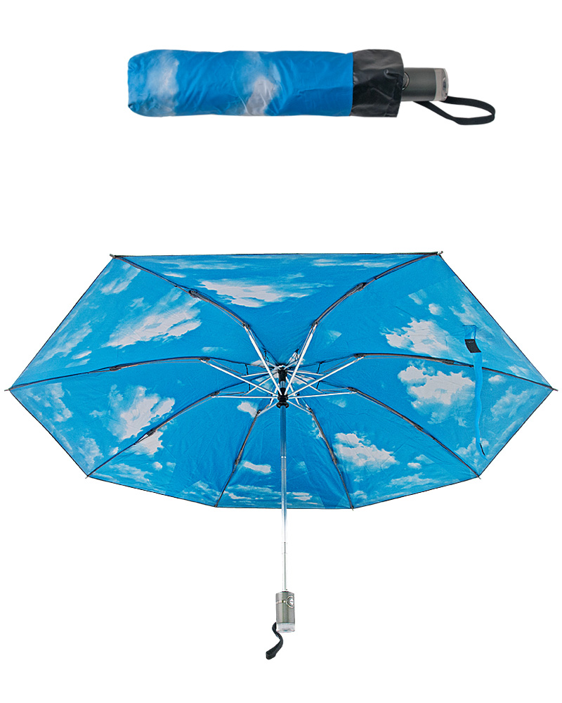 З-338 Зонт женский автомат